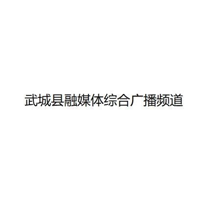 武城县融媒体综合广播频道