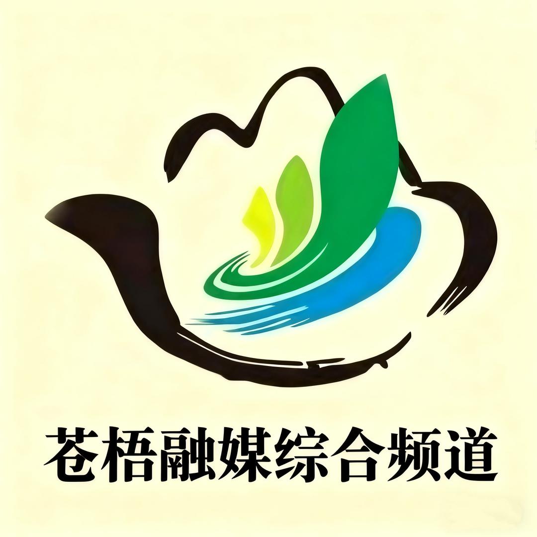 梧州市苍梧县融媒体中心综合频道