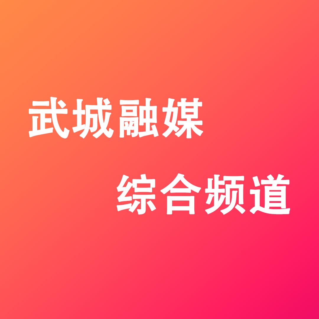 武城广播电视台综合频道