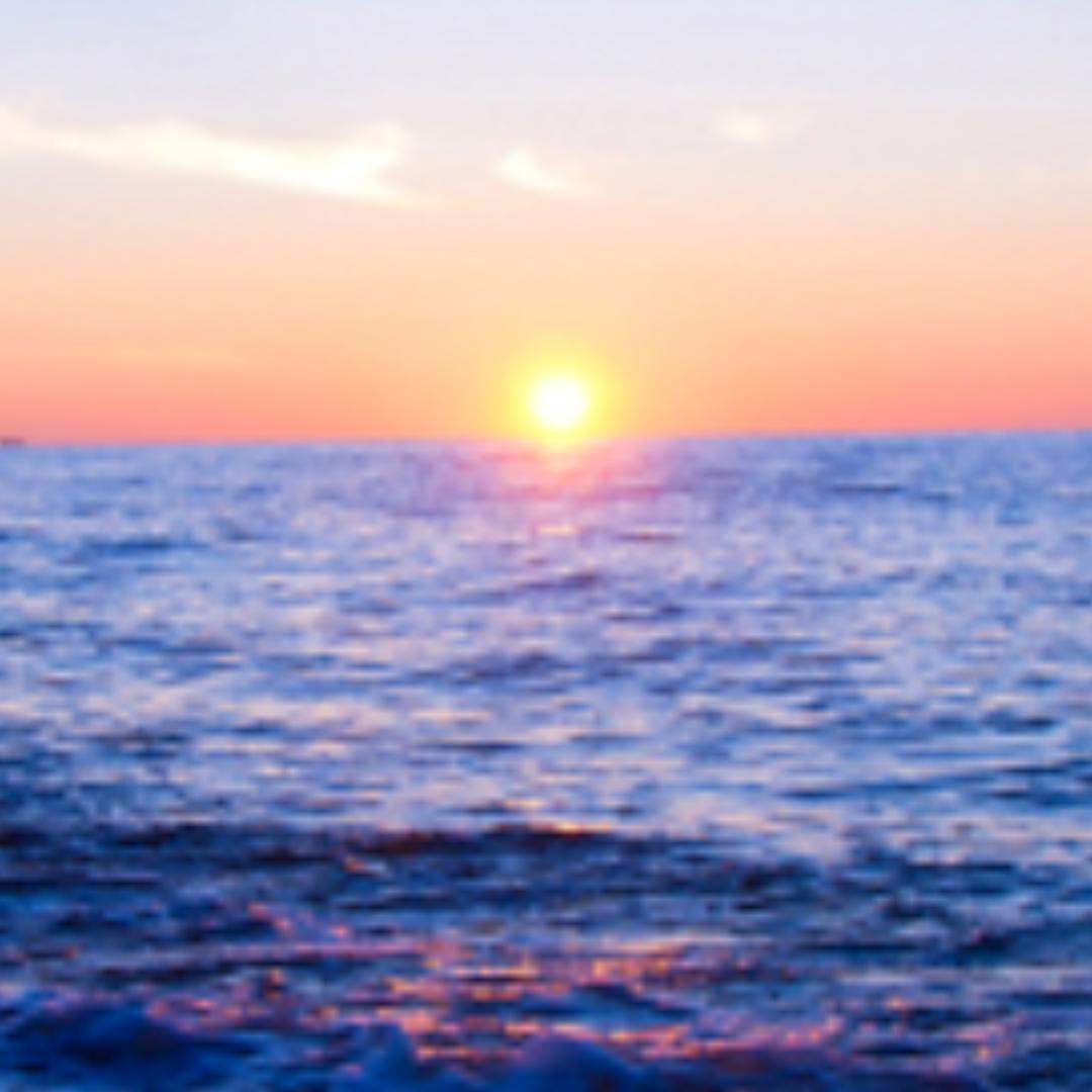 海港好物优品1店