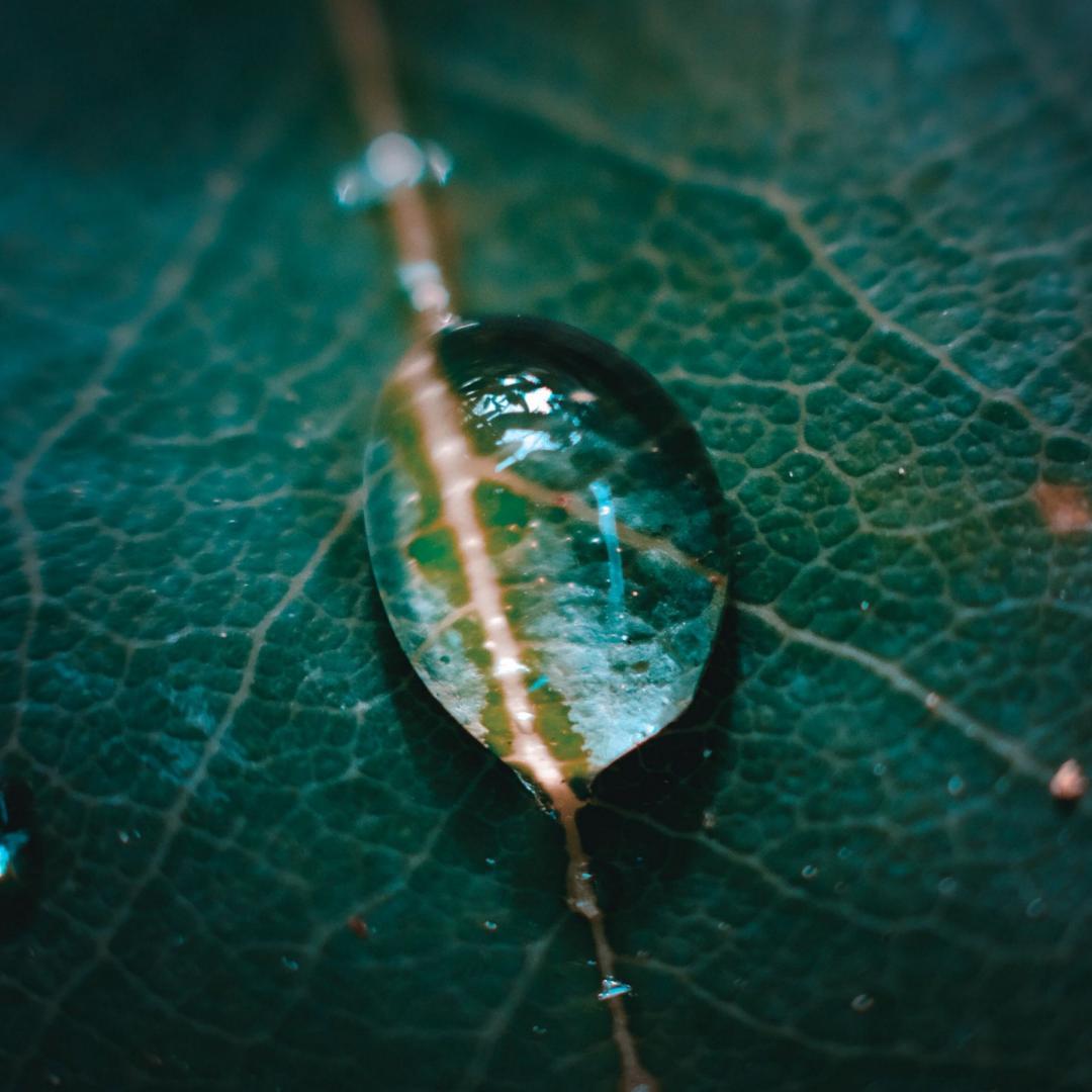雨润