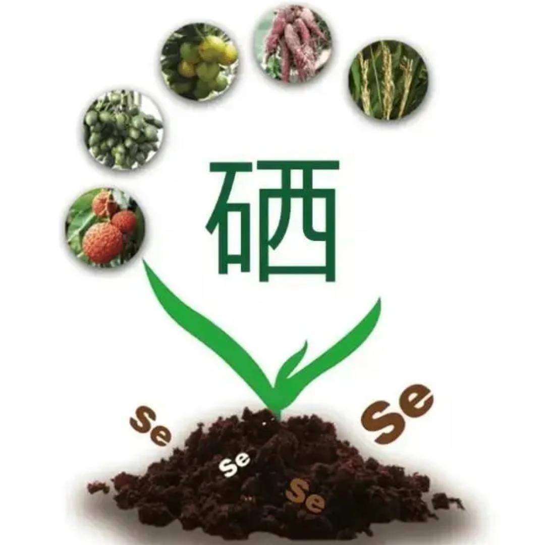 纳米肥