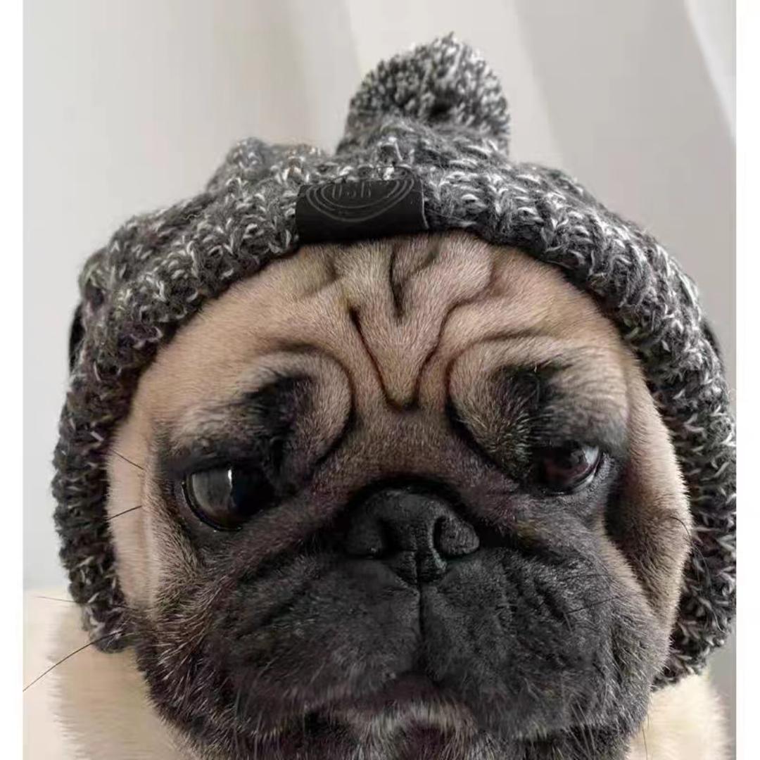 AI宠先森宠物用品店