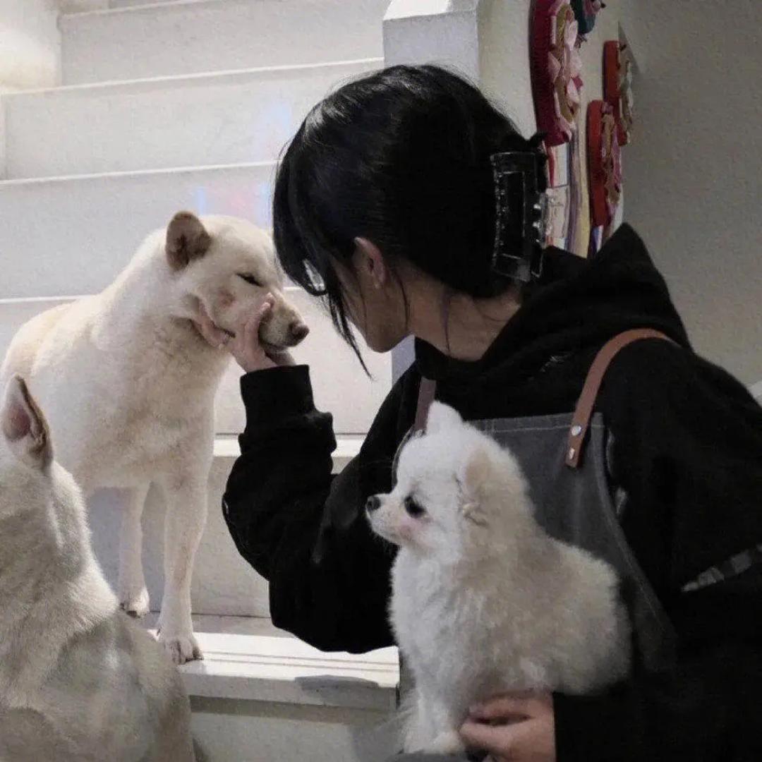 园游会