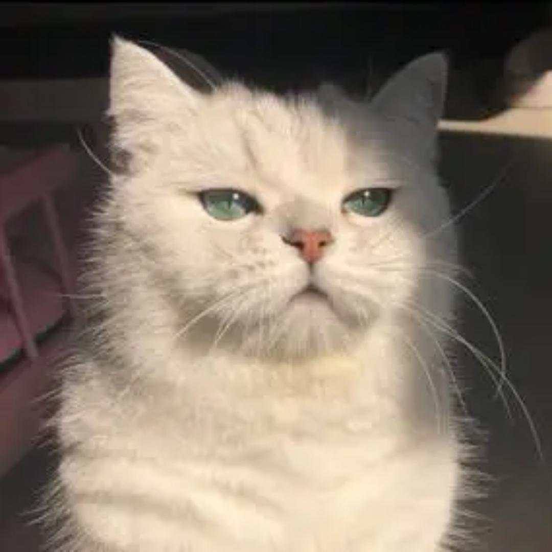 冬季