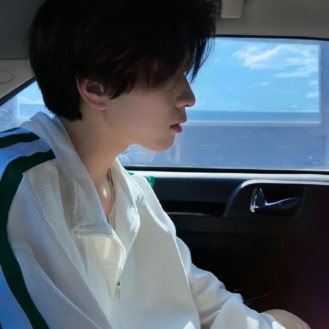 云深不知鹤