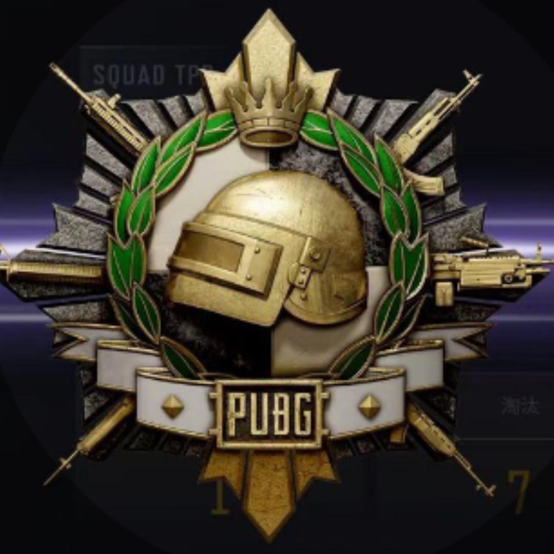 🔒子哥（pubg教练1）