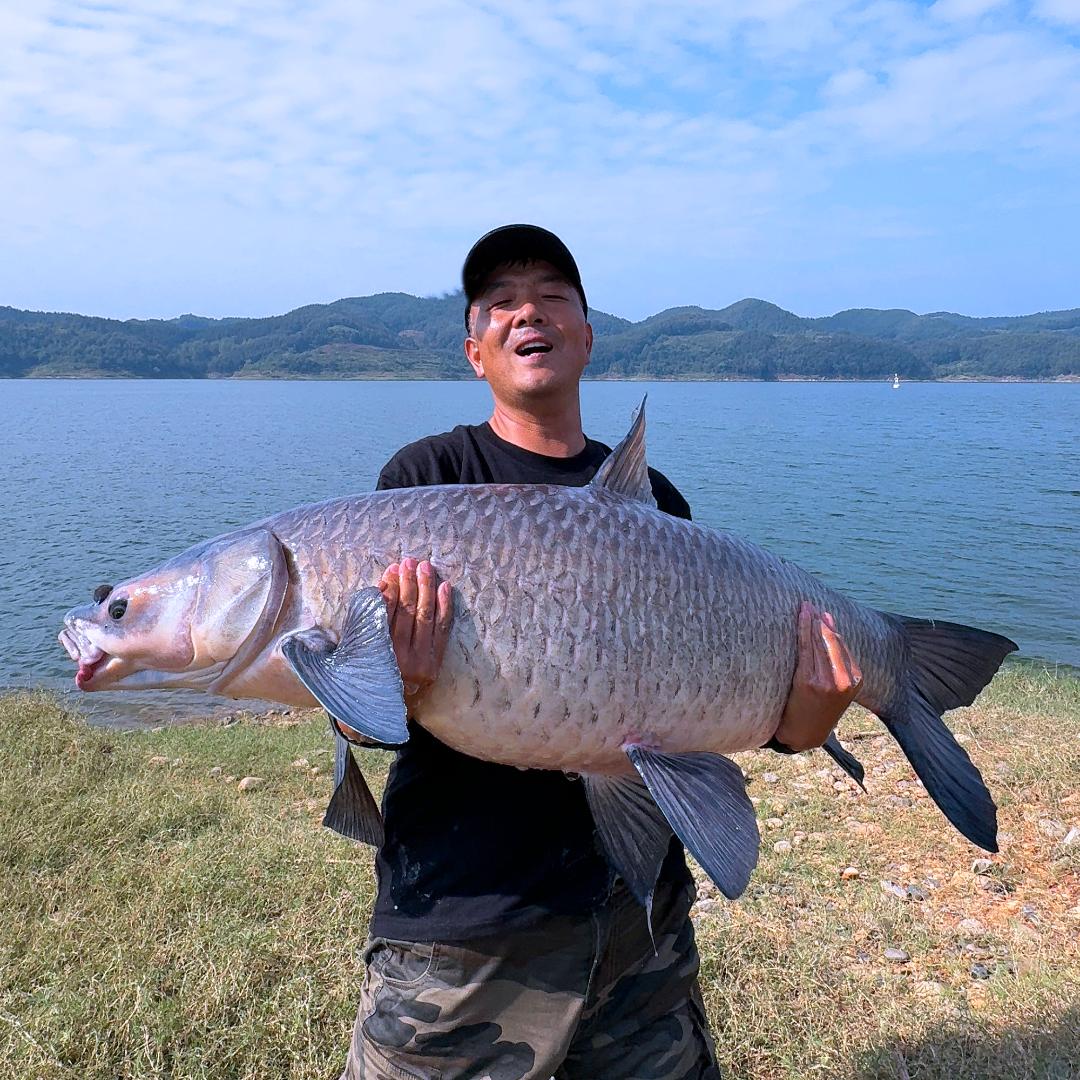 康康欧式鲤钓(Carpkk钓手)