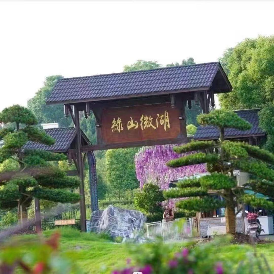 大英绿山微湖军事夏令营