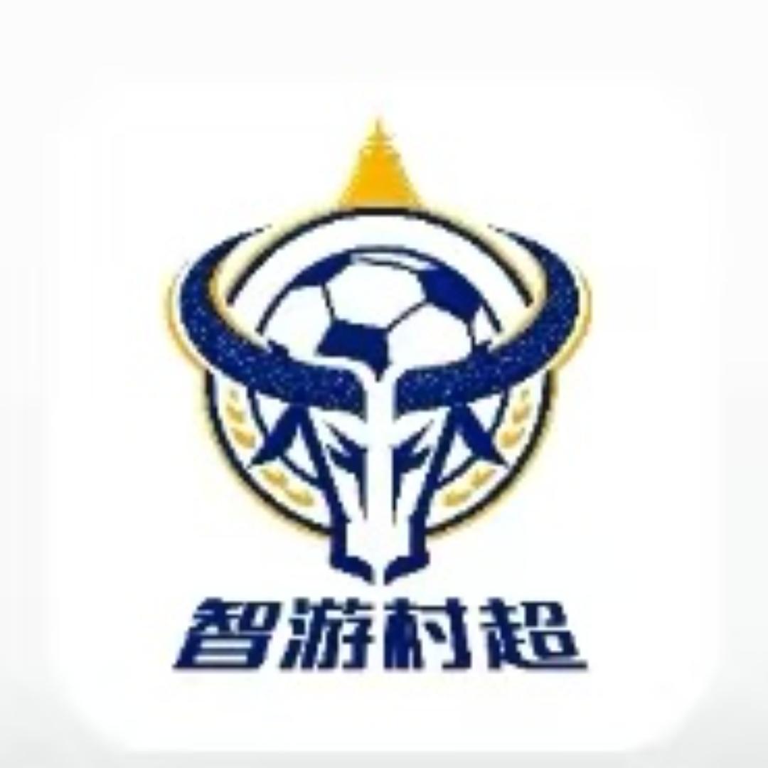 智游村超