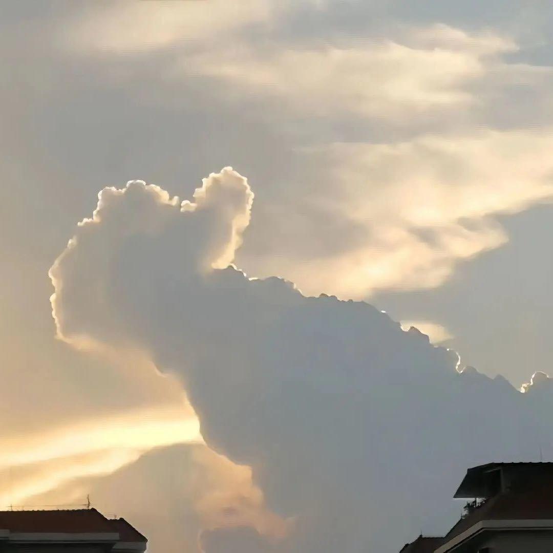 乌鲁鲁代肝鼠鼠）