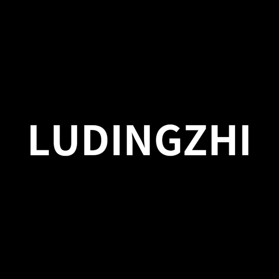 LDZ隐形增高鞋（男女款）