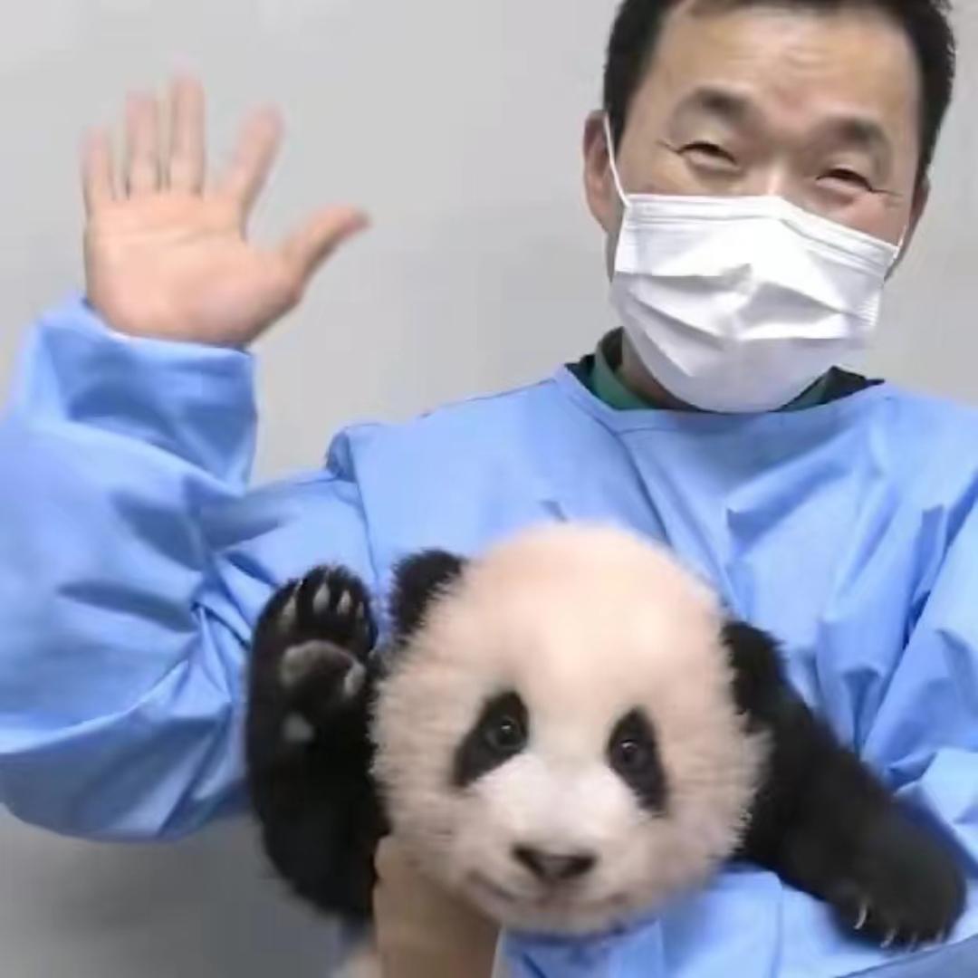 宝家族日记