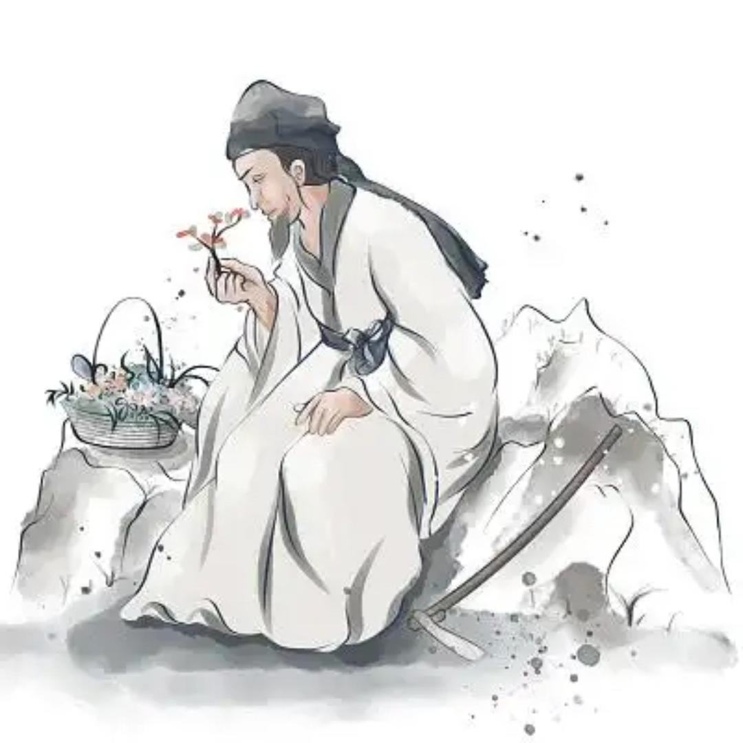 小柯是🪝