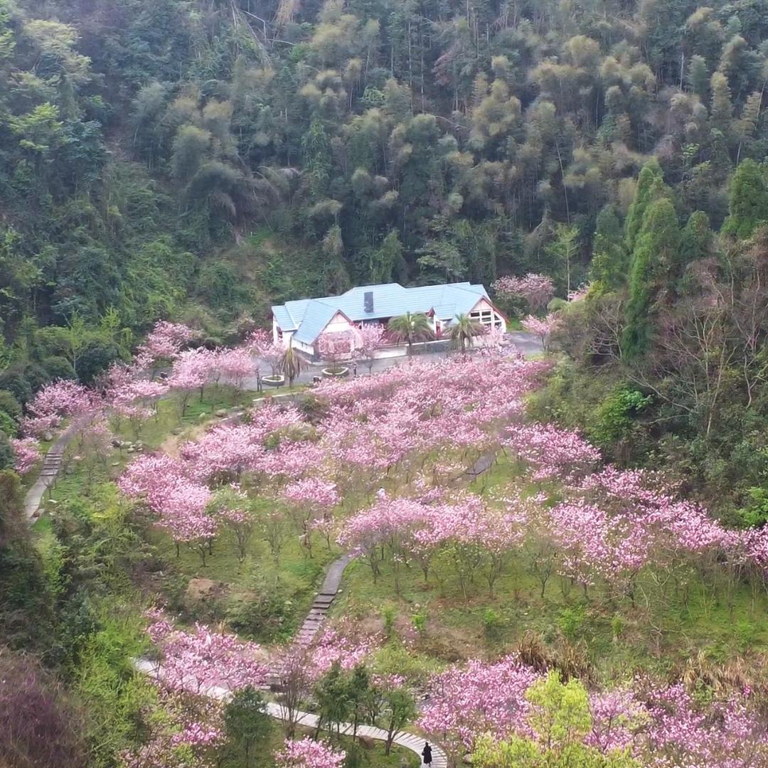 花堤小院