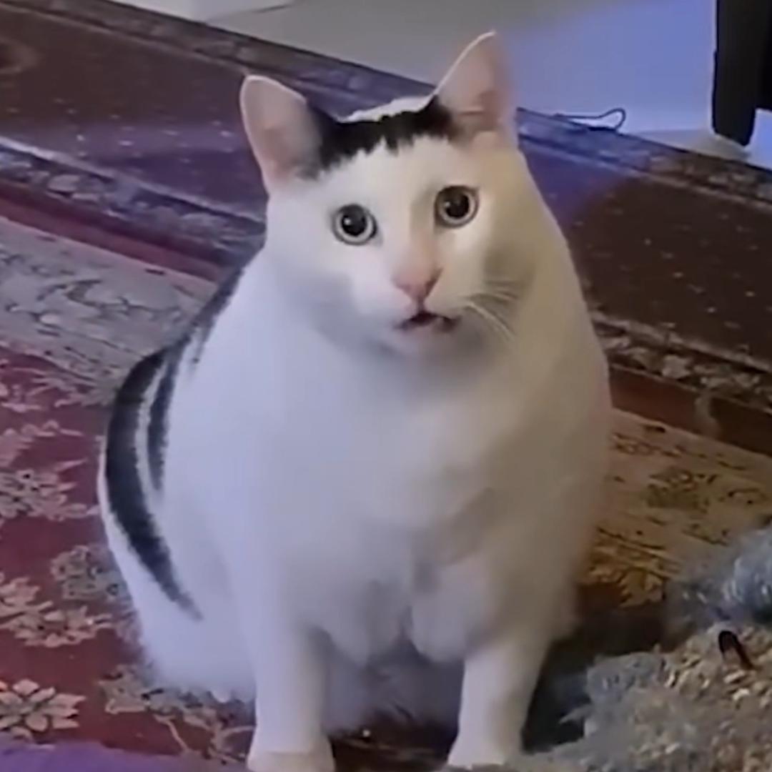 下北泽军校校长