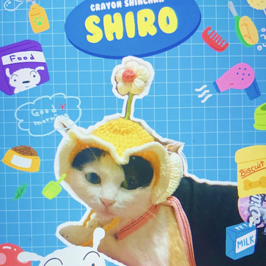 旺德福小花