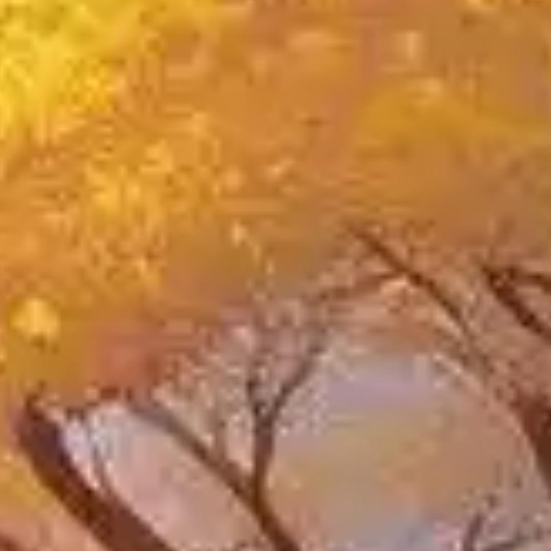 丝袜地方萨芬