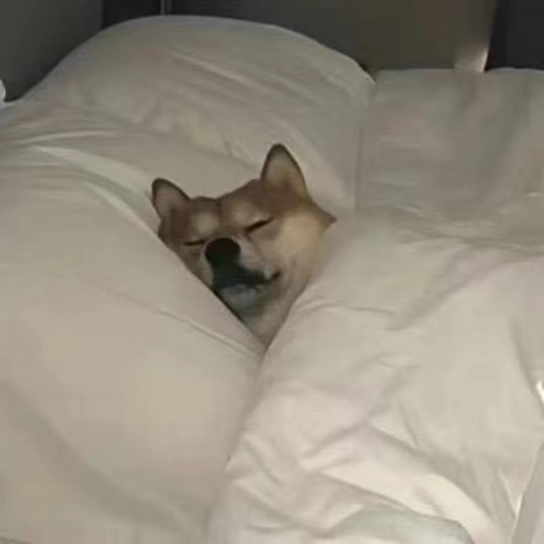 晕博