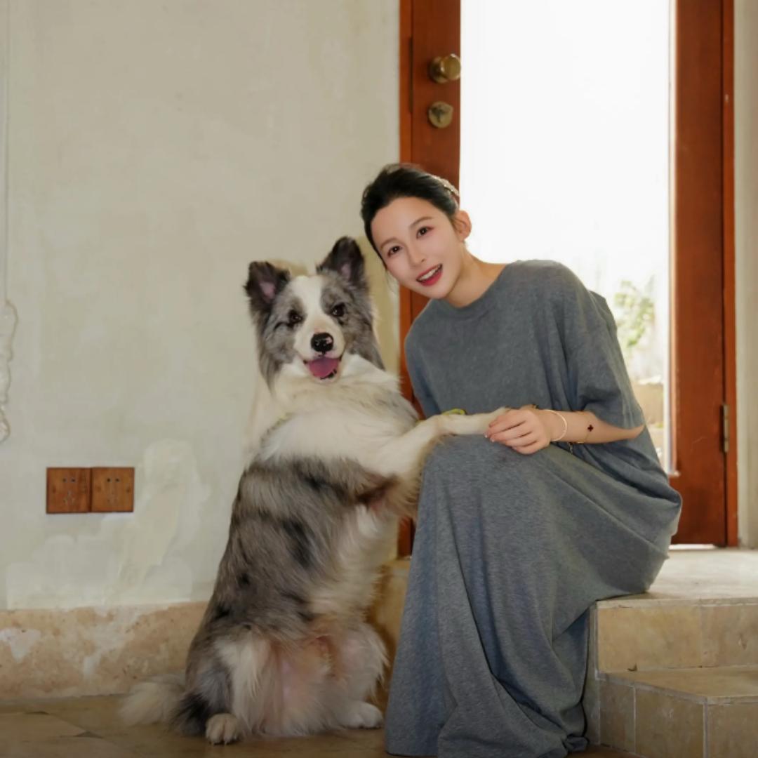 外贸家直播同款bot