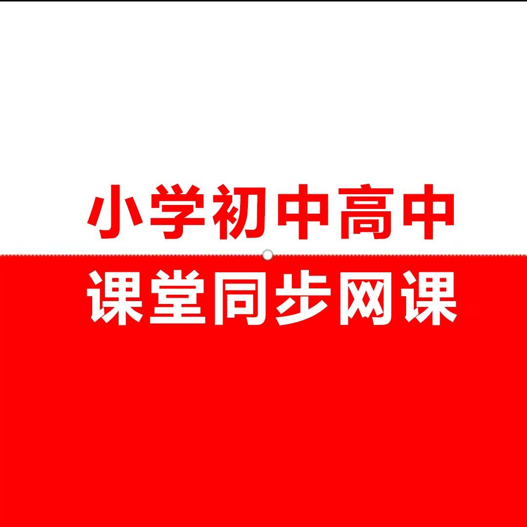 小初高同步网课