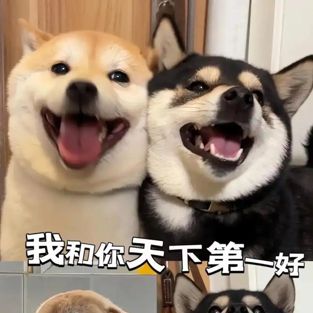 🌈旅行🌈