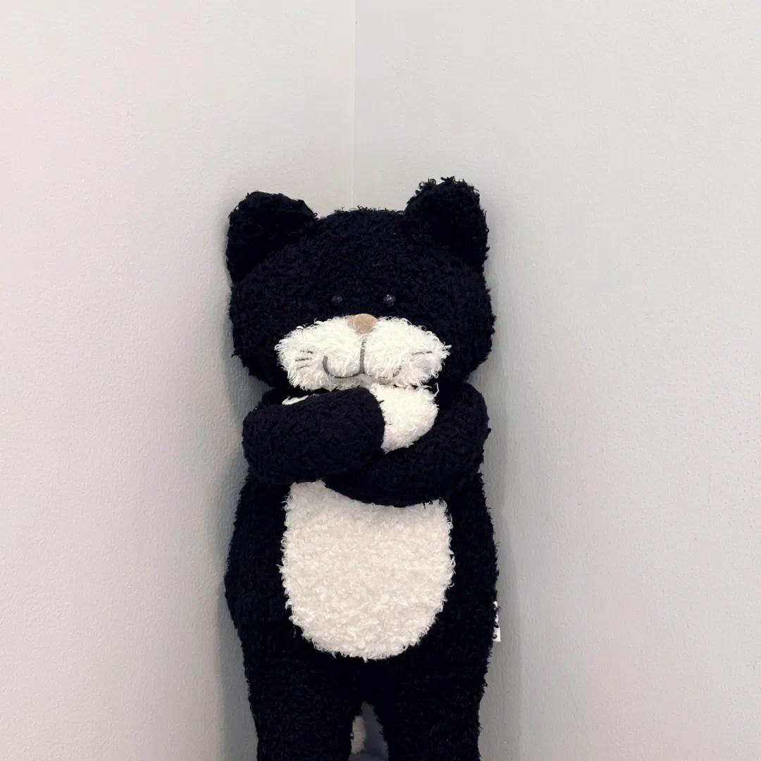 Lychee case荔枝壳