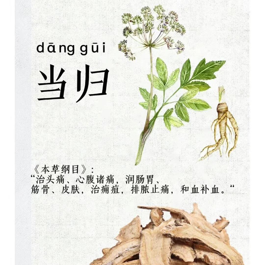 当归先生