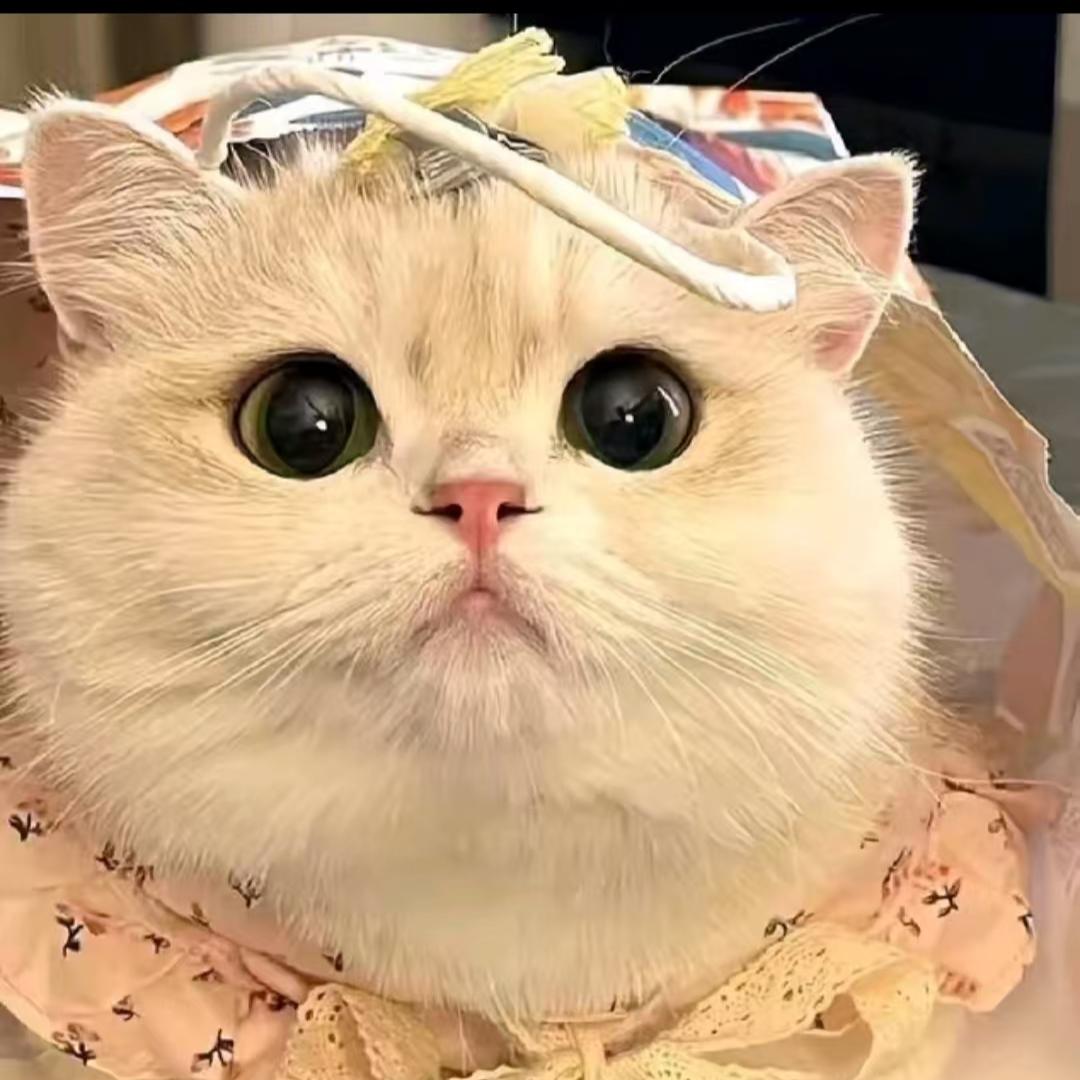 琪琪可可爱