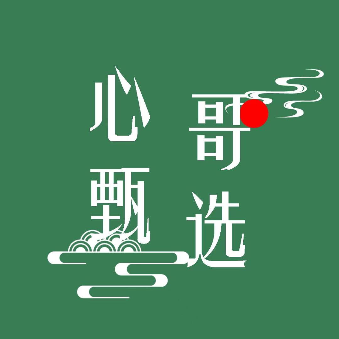 心哥甄选