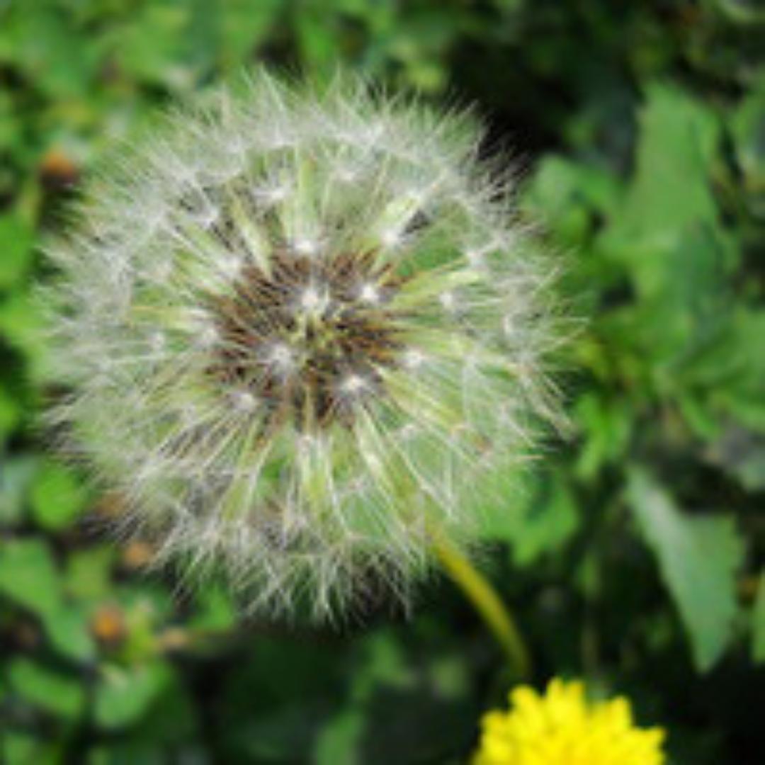 今天晚上玩什么？