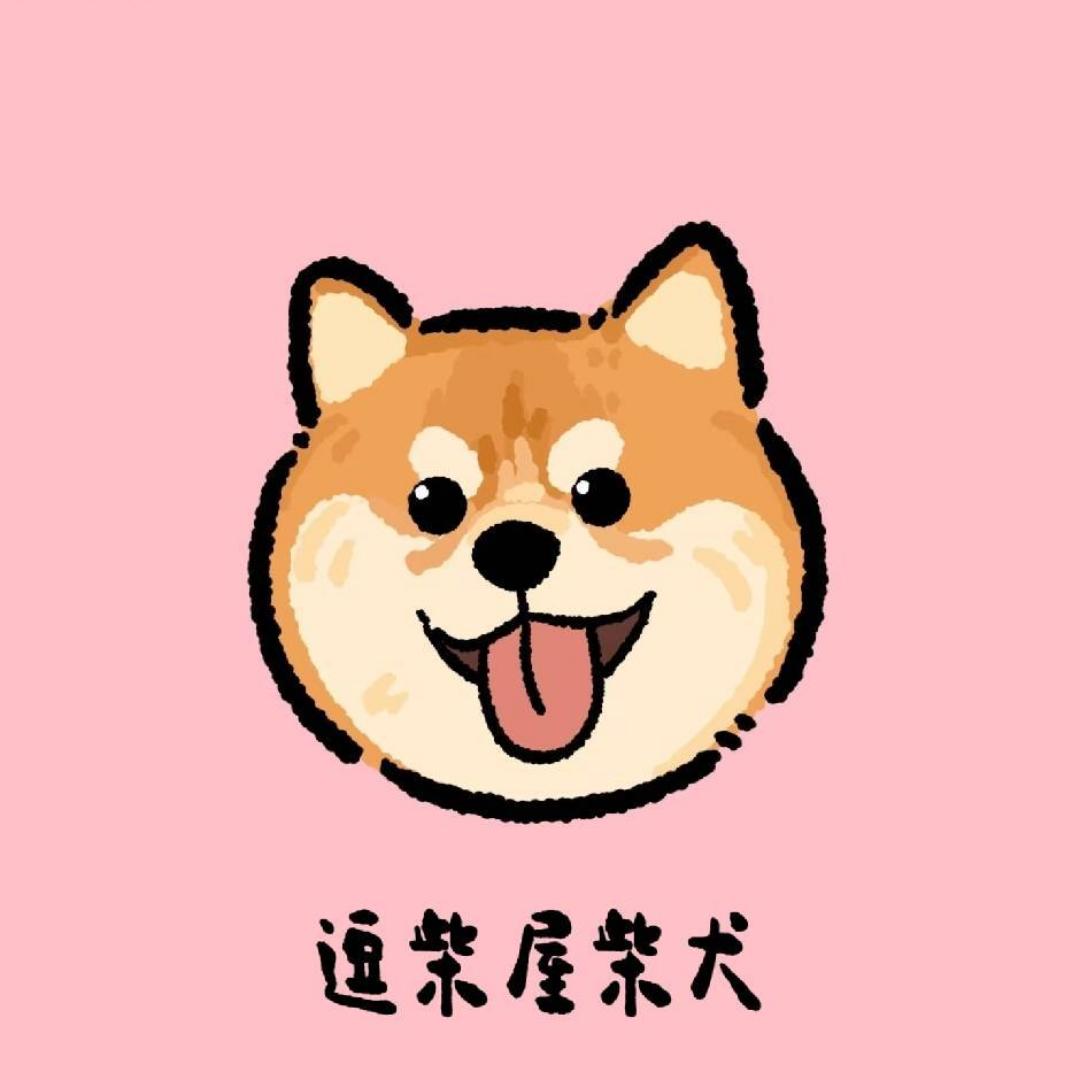 逗柴屋柴犬舍1号