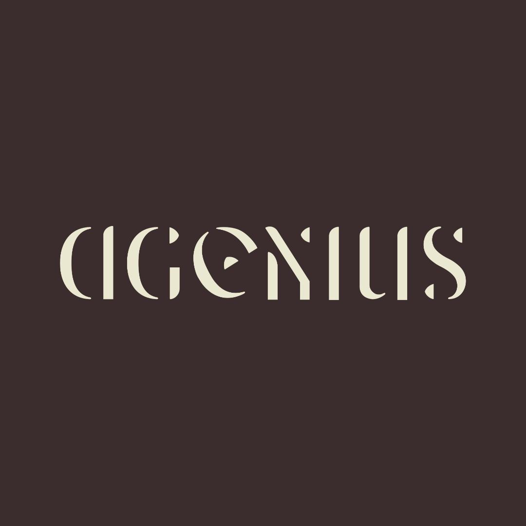 DGENIUS登吉女包专卖店