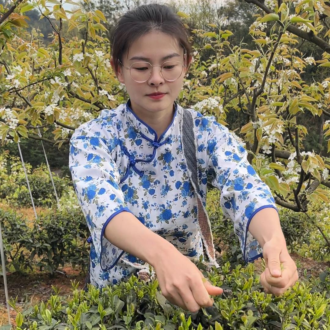 乡村灵子