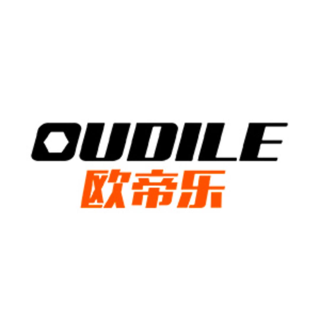 欧帝乐智能门锁企业店