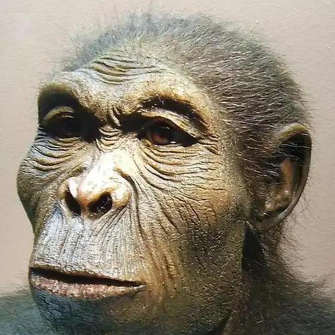 玉泉路的两次日出