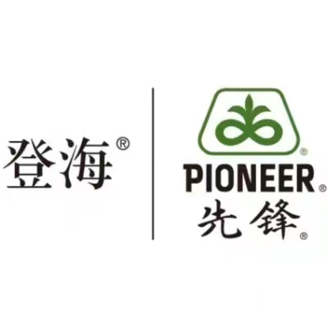 登海先锋