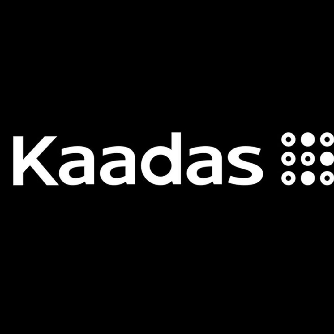 Kaadas凯迪仕智能门锁