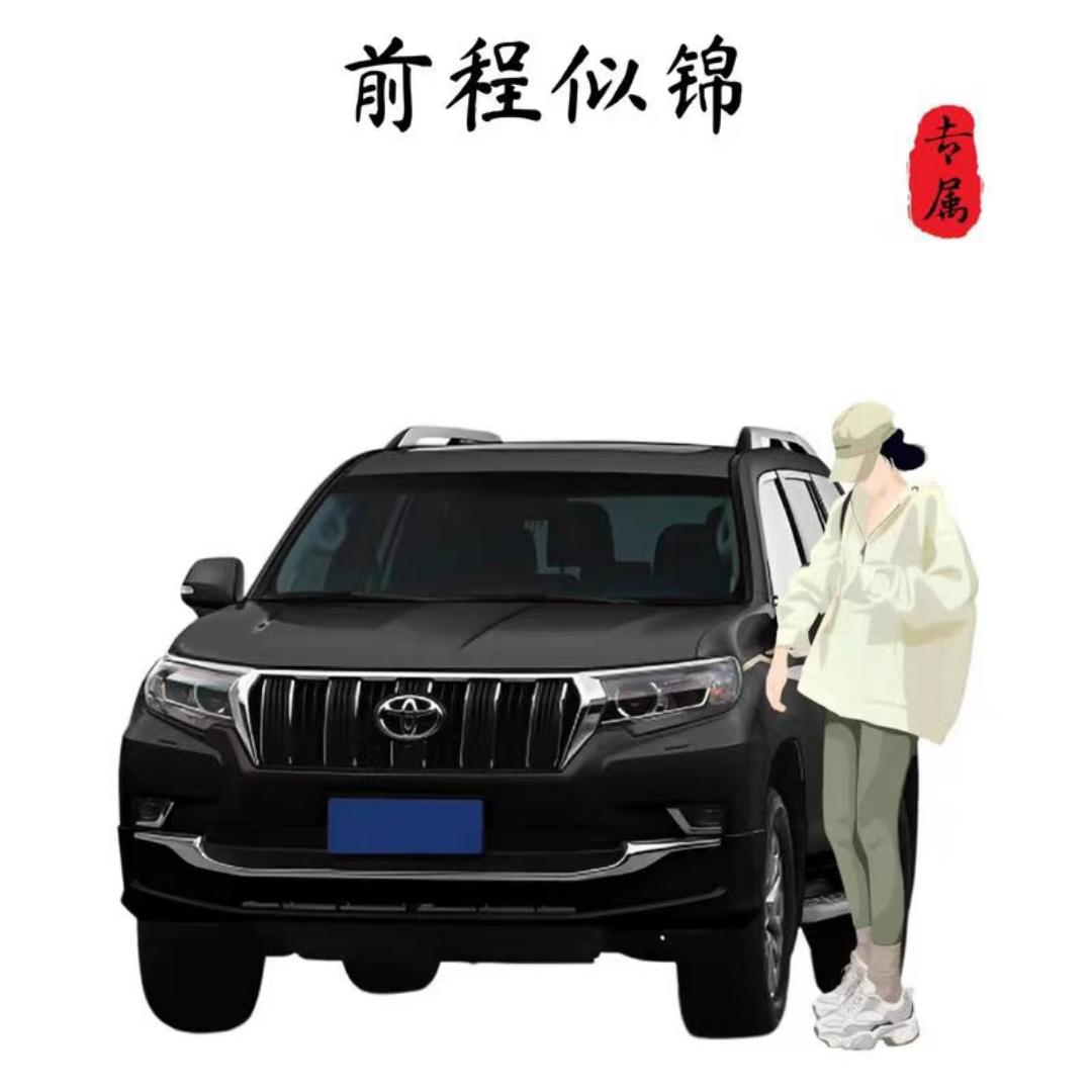 李李教买车