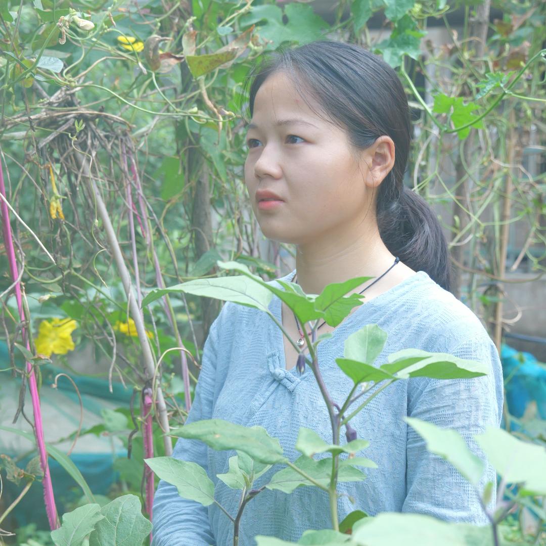 农家小花