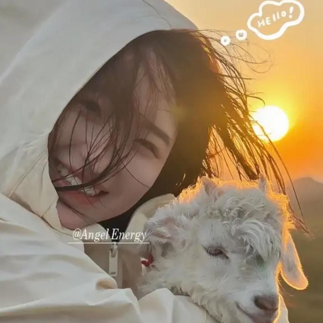 大脑门团团