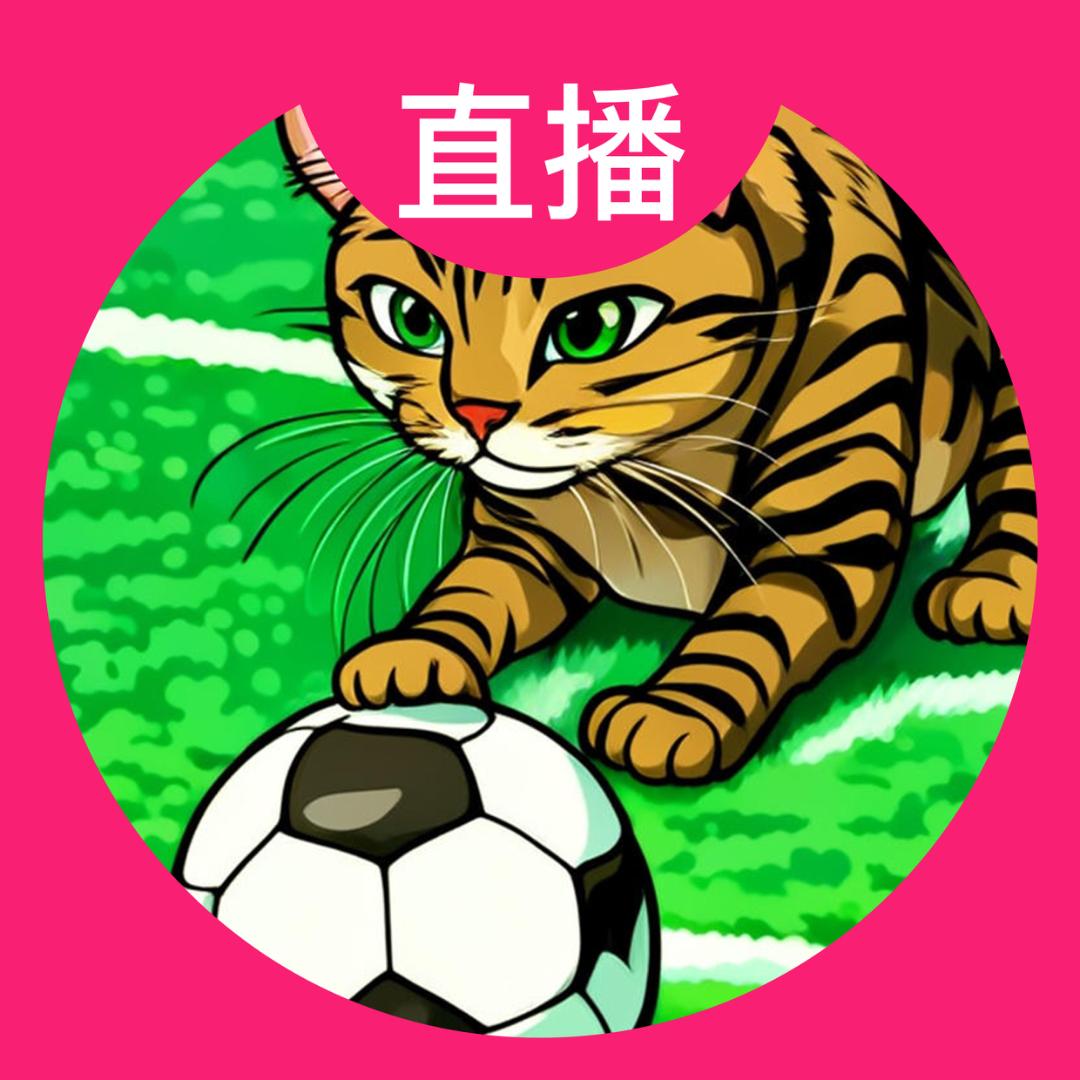 小白看足球