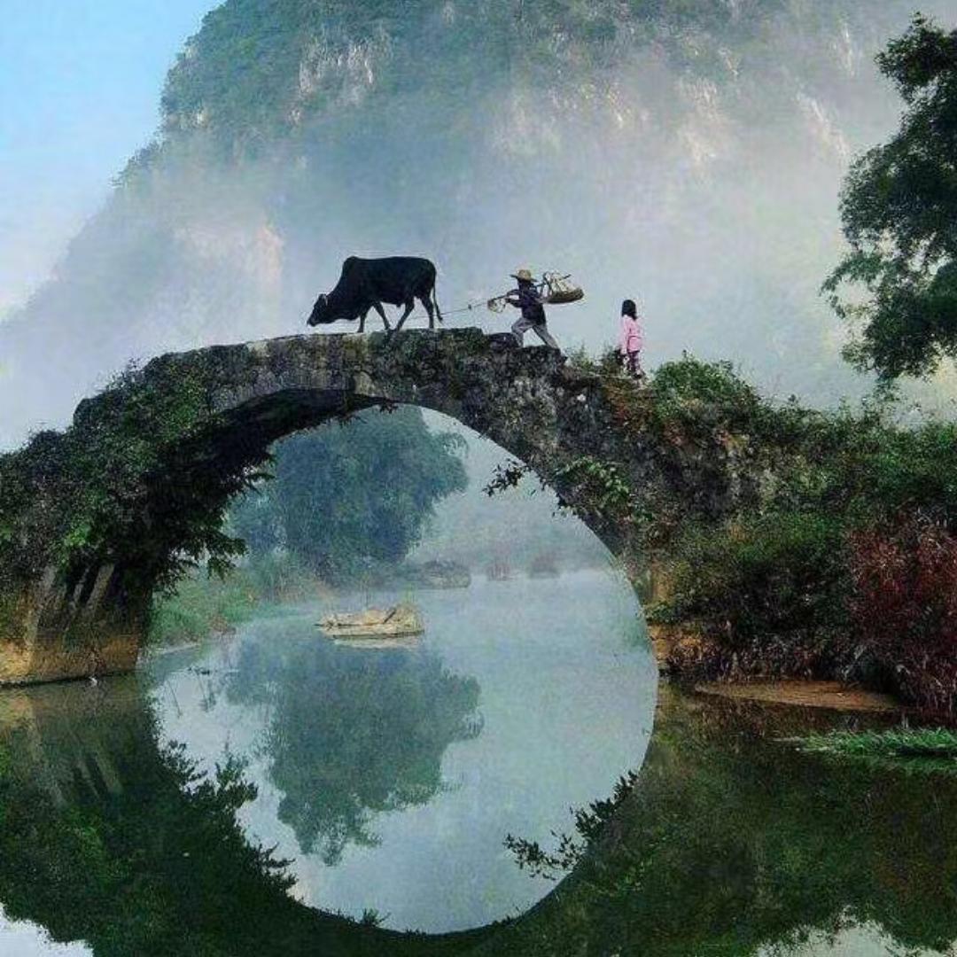 程老师讲数理化