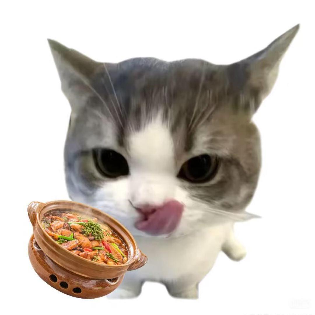 馋猫猫🐱
