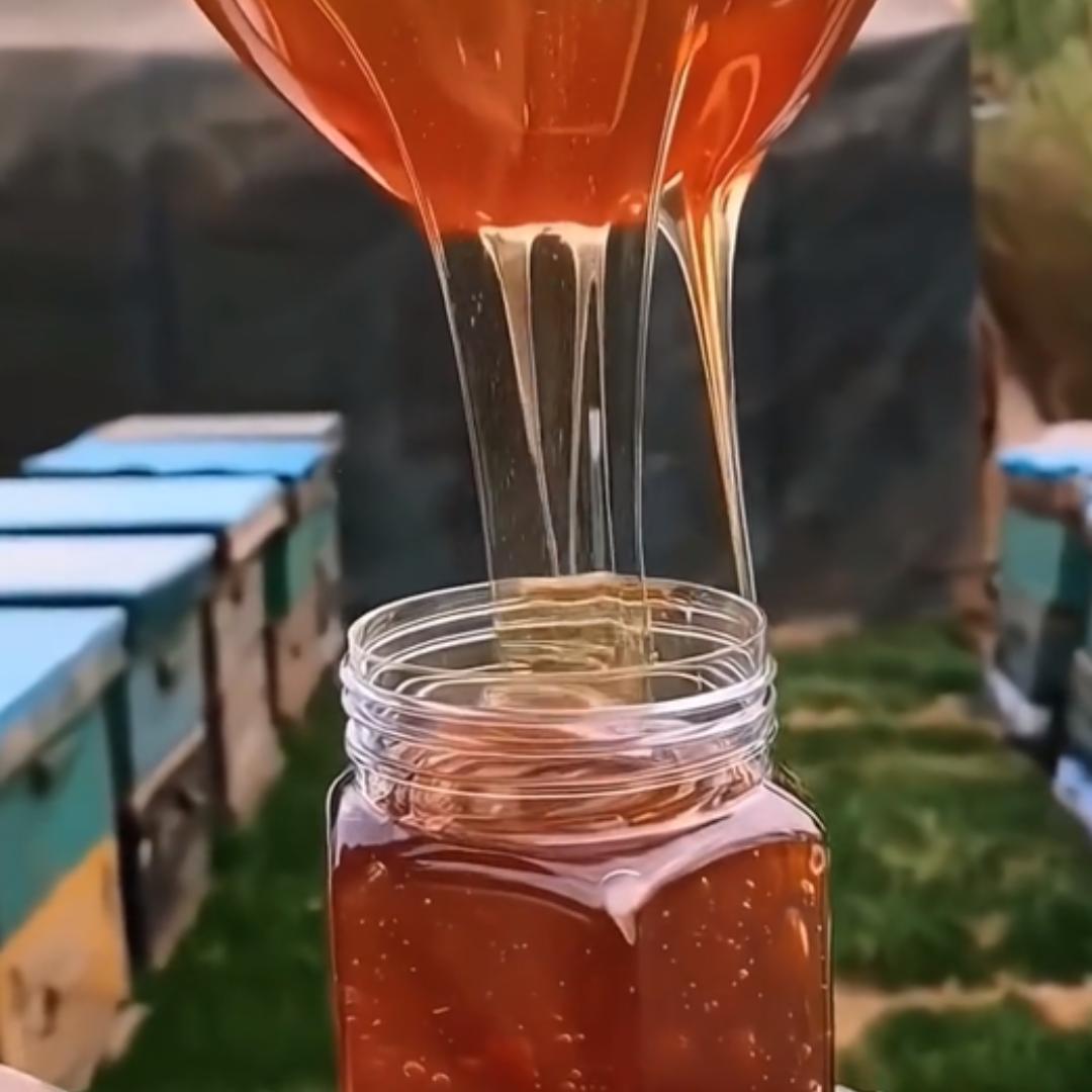 土蜂蜜悬崖蜜