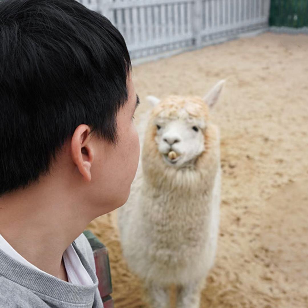 阿宁煲冬瓜