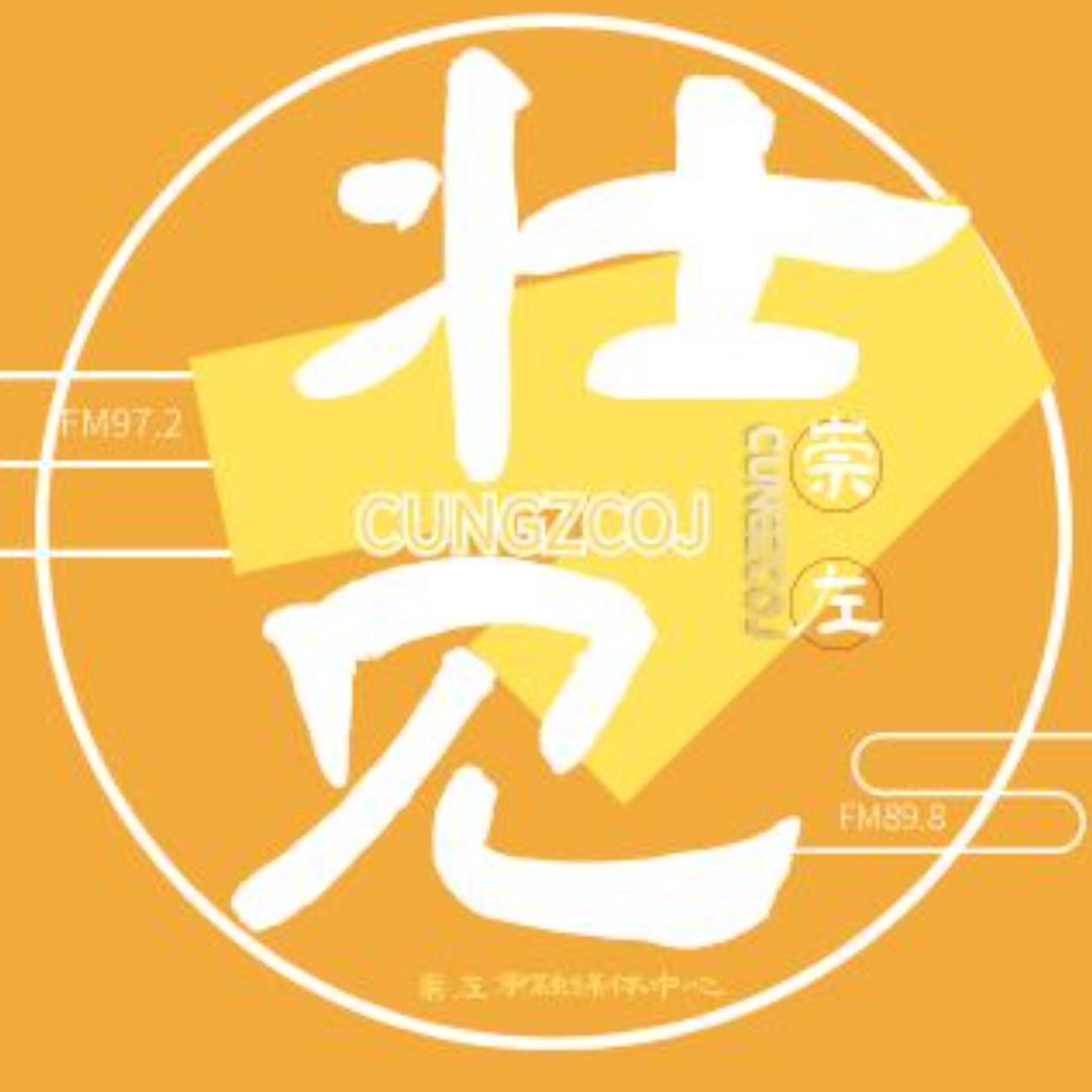 壮见崇左