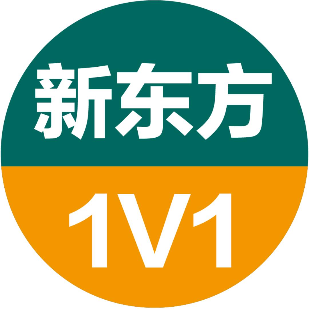 新东方1v1规划