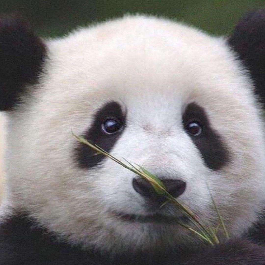 嗨胖哒编辑部