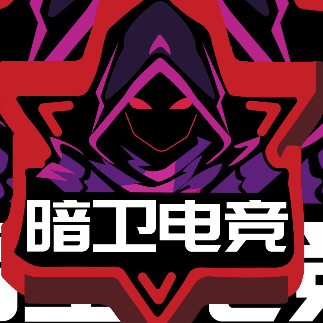 暗卫电竞（三角洲行动）